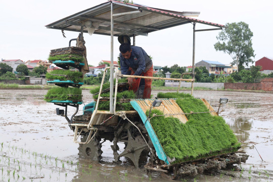 Xã Hiển Khánh ứng dụng kỹ thuật cấy bằng máy nâng cao năng xuất hướng đến xây dựng nông nghiệp sạch hữu cơ 